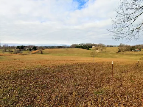 843 Parsonage Rd, White Pine, TN 37890 photo 8