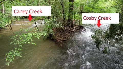110 Caney Creek Rd, Cosby, TN 37722
