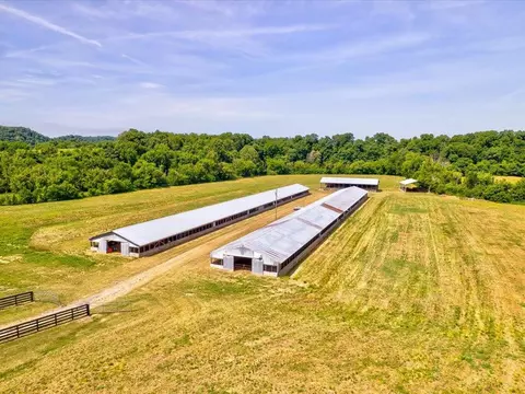 Little Chuckey Road, Mosheim, TN 37818