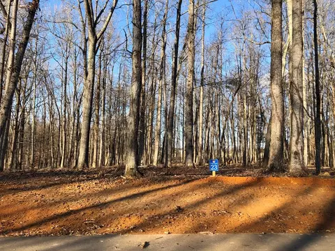 lot S 2324 Sunset Blvd, White Pine, TN 37890