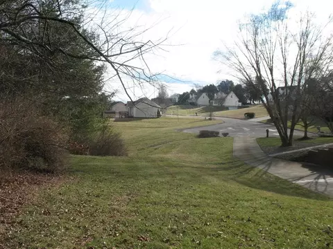 139 Settlers Ln, Talbott, TN 37877 photo 17
