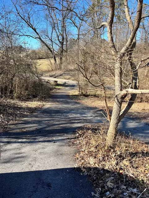 8066 Hulls Mill Rd, Talbott, TN 37877 photo 3
