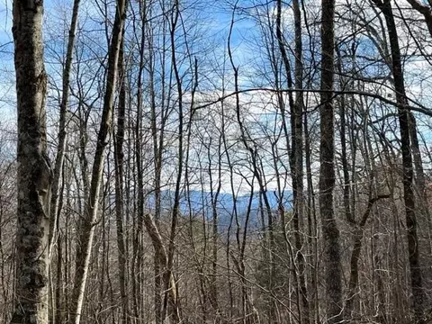 S Ridge Way, Cosby, TN 37722