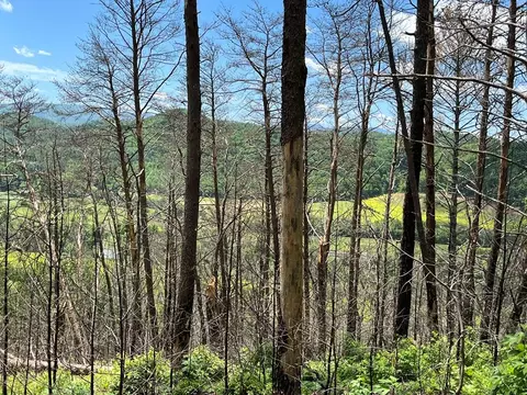 3520 Apt 4 Hwy 2570 Hwy, Del Rio, TN 37727