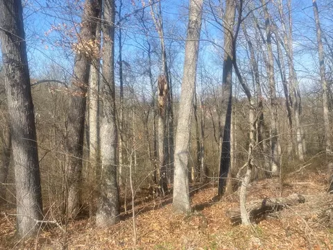 Old Liberty Hill Road, Morristown, TN 37814