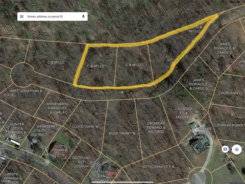 Shady Hollow, Baneberry, TN 37890