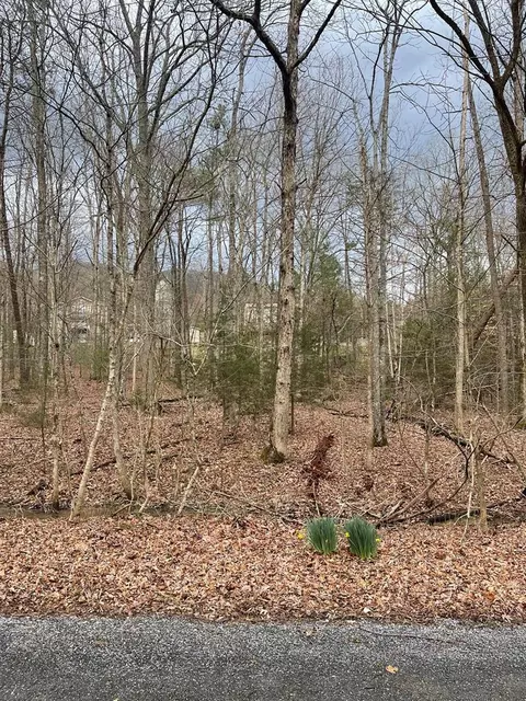 Hummingbird Lane, Newport, TN 37821