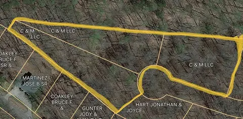 Shady Hollow, Baneberry, TN 37890