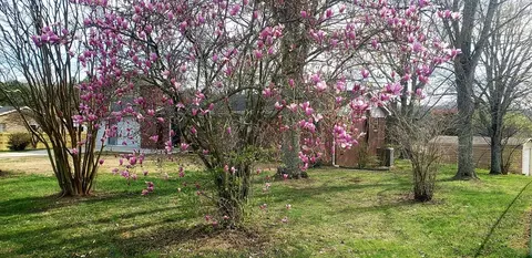 6535 Withers Cir, Talbott, TN 37877 photo 20