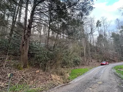 Ravens Branch, Hartford, TN 37753