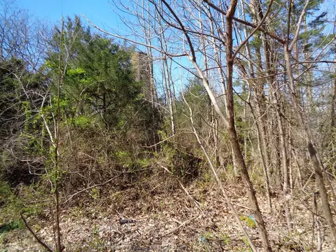 lot1 5375 Fred Marshall Rd, Russellville, TN 37860