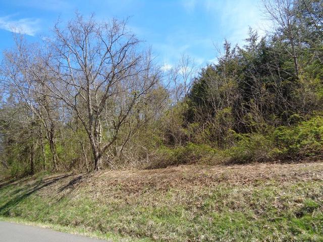 lot2 5375 Fred Marshall Rd, Russellville, TN 37860