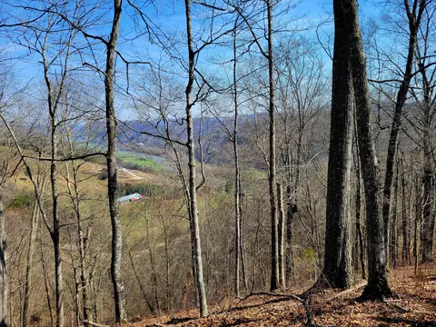 tbd Tazewell Hwy, Sneedville, TN 37869