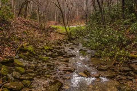 0 Grouse Run Rd, Sneedville, TN 37869