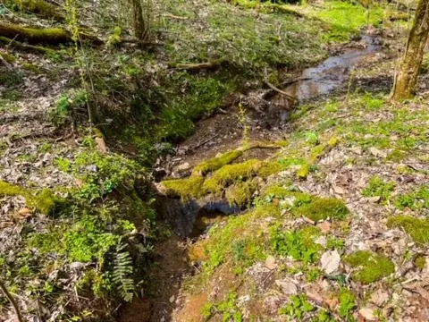 Baysinger Road, Parrottsville, TN 37843