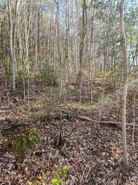 Lindsey Gap Road, Cosby, TN 37722
