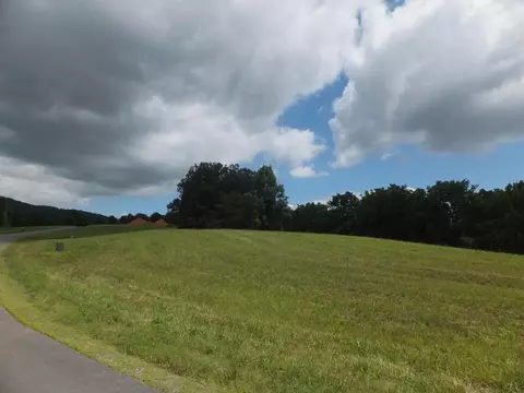 lot15 Buttercup Fields Rd, Newport, TN 37820