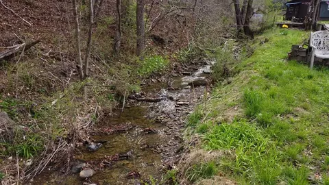 151 Miller Hollow Rd, Bean Station, TN 37708 photo 7