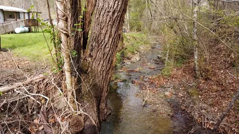 151 Miller Hollow Rd, Bean Station, TN 37708 photo 8
