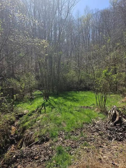0 Myers Hollow Rd, Seymour, TN 37865