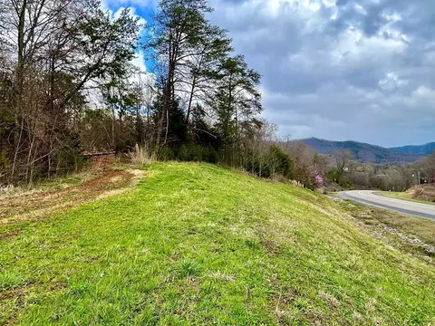 Tract #7 Bluff Road, Newport, TN 37821