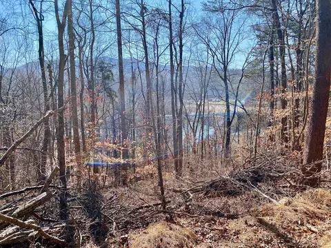 Tract #5 Bluff Road, Newport, TN 37821
