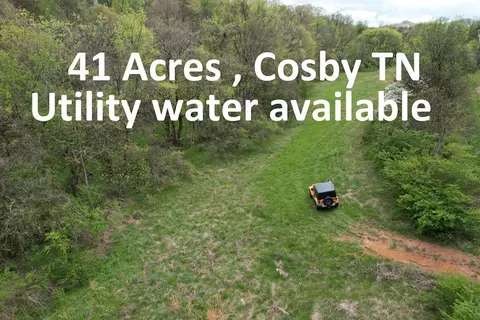 41 Acres Bogard Rd, Cosby, TN 37722