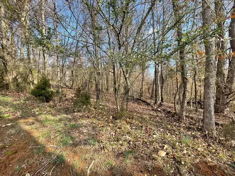1927 E Chelaque Way, Mooresburg, TN 37811