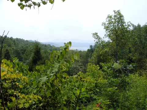 0 Emerald Waters Dr, Newport, TN 37821