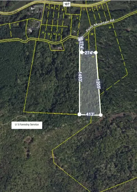0 Paint Mountain Rd, Greeneville, TN 37743