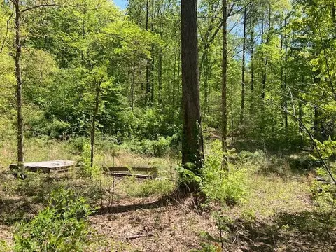 00 Sleepy Hollow Rd, Newport, TN 37821
