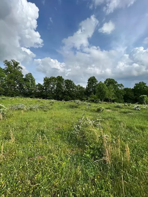 Sweet Creek, Eidson, TN 37731