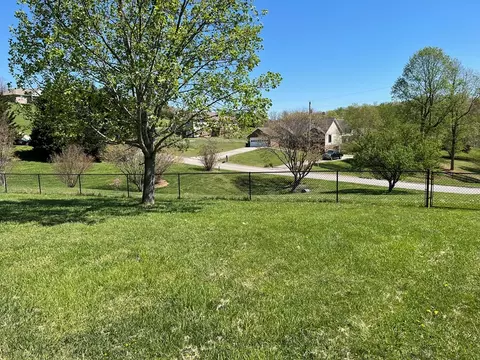 138 Scenic View Dr, Talbott, TN 37877 photo 24