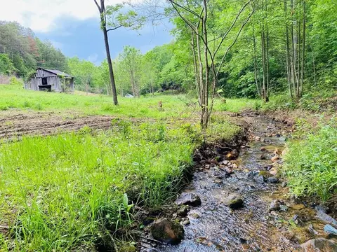 1191 Splashaway Rd, Newport, TN 37821