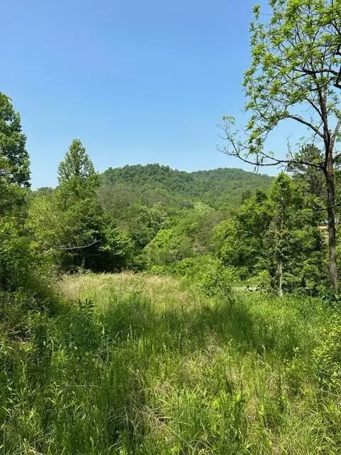 2710 Chestnut Ridge Rd, Sneedville, TN 37869