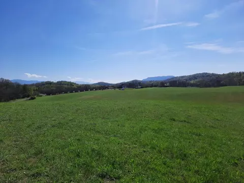 Bluff Road, Parrottsville, TN 37843