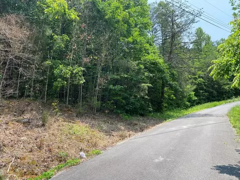lot21 Point View Vw, Parrottsville, TN 37843