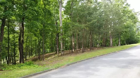 lot96 Turtle Dove Trl, Dandridge, TN 37725