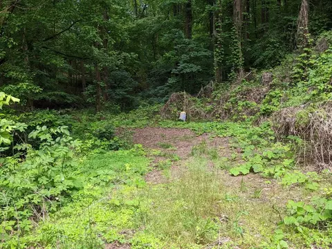 Old Hwy 411, Newport, TN 37821