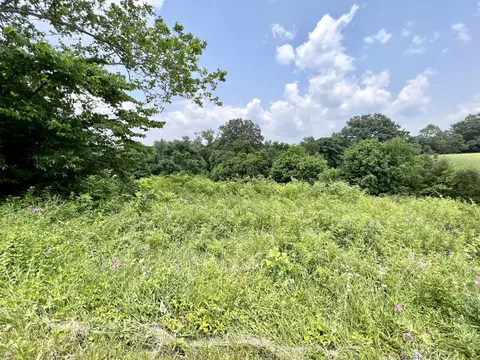 0 Martin Rd, Limestone, TN 37681 photo 2