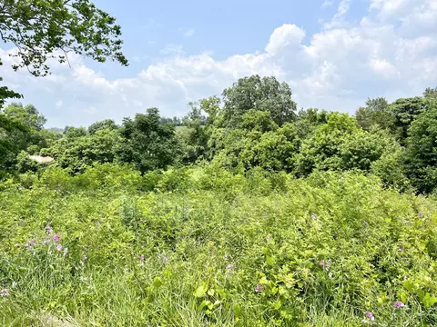 0 Martin Rd, Limestone, TN 37681 photo 4