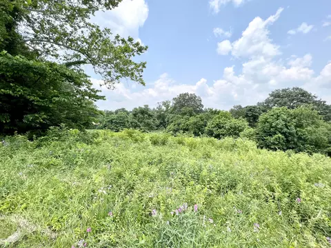 0 Martin Rd, Limestone, TN 37681 photo 3