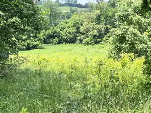0 Martin Rd, Limestone, TN 37681