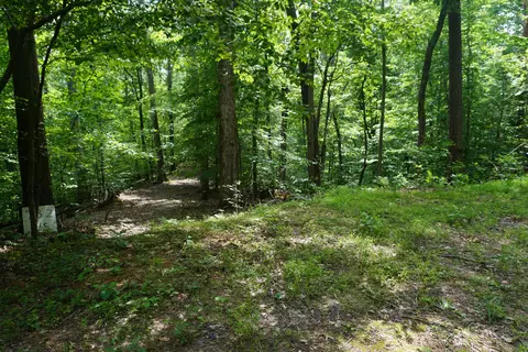 lot732 Mossy Hollow Rd, White Pine, TN 37890