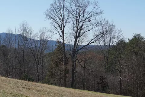 lot21 Tranquility Ridge Dr, Newport, TN 37821