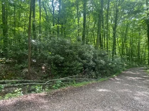 lot12 Critter Valley Way #LOT 12, Newport, TN 37821
