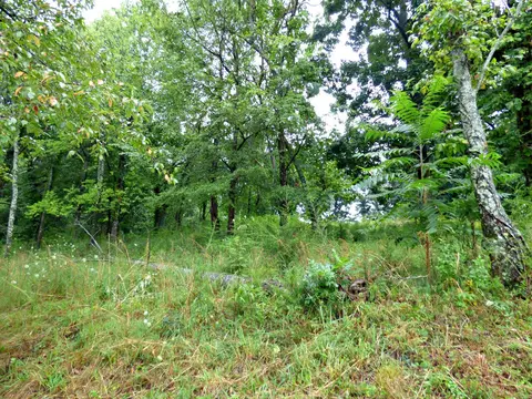 Lot 37 Stonehenge Way, Dandridge, TN 37725