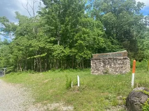 Lot 3 Critter Mtn Way, Newport, TN 37821
