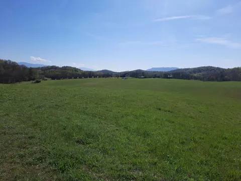8 83 Acres Bluff Road Blf, Parrottsville, TN 37843