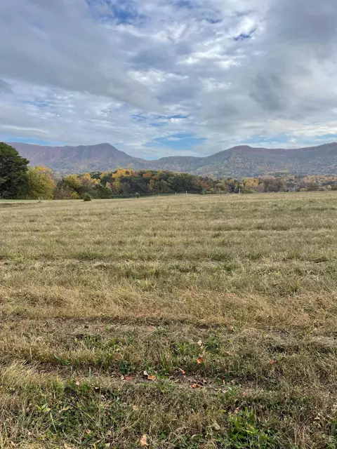 lot2 R1 Alvey Hill Rd, Dandridge, TN 37725